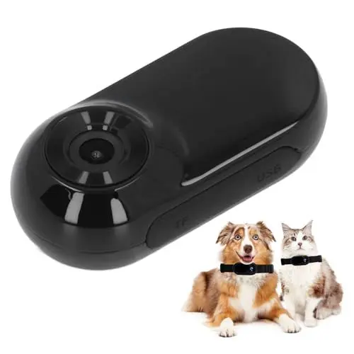 Produktbild: Katzenkamera-Halsband mit 32 GB SD-Karte, HD 1080P Hunde-Tracker-Halsband, 160° Weitwinkel, Kleine Action-Körperkamera für Hunde, Katzen, Drinnen und (Kamera Schwarz +