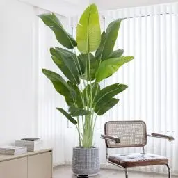 Produktbild: Keeplush Künstliche Paradiesvogel Pflanze groß 200cm künstliche Tropische Palme mit 15 Blättern perfekte künstliche Pflanzen im Topf für drinnen und draußen Haus Büro Garten Moderne Dekoration（1 Pack）