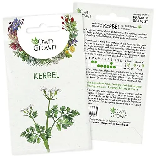 Produktbild: Kerbel Samen: Kerbel Saatgut zur Anzucht von 80 Kräuter Pflanzen – Wildkräuter Samen – Würzige Kräuter Garten Pflanze – Kräuter Saatgut von OwnGrown