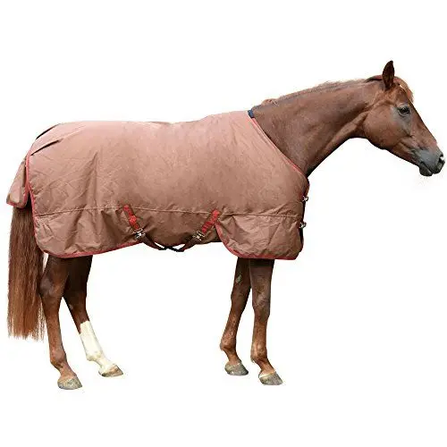 Produktbild: Kerbl 328676 Winterdecke IceProtect 300 g, Darkbrown/red