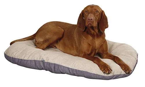 Produktbild: Kerbl Liegekissen Loneta (Farbe Beige/Grau, L x B x H 92 x 64 x 9 cm, Hundekissen, beidseitig verwendbar) 80357
