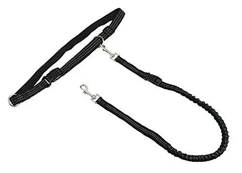 Produktbild: Kerbl Pet 81181 Joggingleine Active mit Hüftgurt