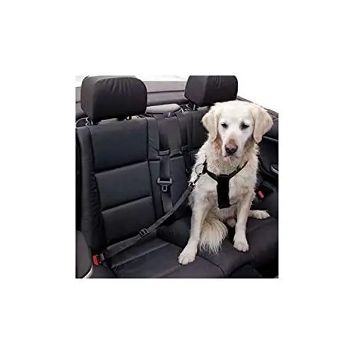 Produktbild: Kerbl Pet Autosicherheitsgurt Größe S, schwarz, größenverstellbar, 30 - 60 cm