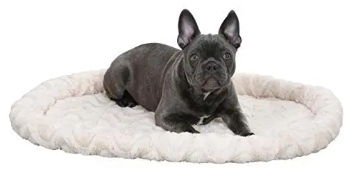Produktbild: Kerbl Kuschelbett (Farbe beige, L x B x H 54 x 45 x 6 cm, mit Nylonboden, wendbar, waschbar, Katzenkissen) 82581