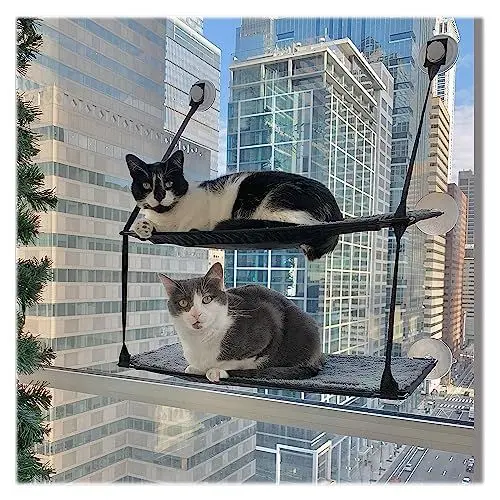 Produktbild: K&H 779092 EZ Easy Window Mount Kitty Sill, am Fenster zu befestigendes Katzenbett mit Zwei Ebenen