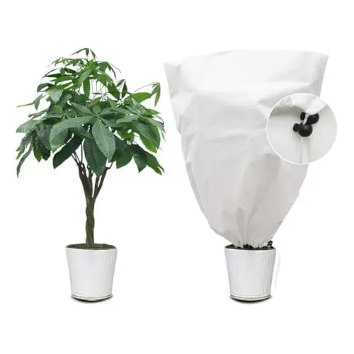Produktbild: Kimgull 1 Stück Winterschutz für Pflanzen, 60x80CM Frostschutz Schutzhülle Winterschutz Kübelpflanzensack mit Zugband, Wiederverwendbar Winter Pflanzenschutzsack Atmungsaktiv Reißfest (Weiß)