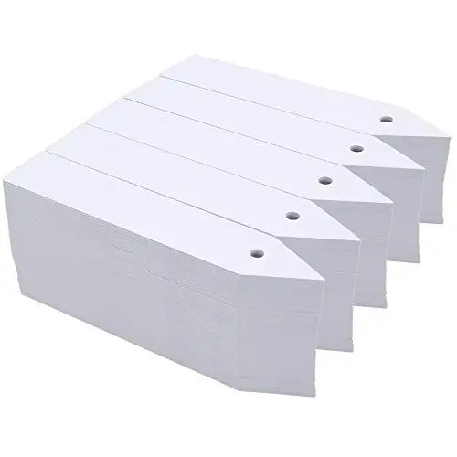 Produktbild: KINGLAKE 1000 Stück pflanzenstecker pflanzenschilder Klein Plastik zum beschriften wetterfest zum hängen pflanzschilder Stecketiketten gartenschilder mit Löchern für draussen Garten ，Weiß，10X2CM