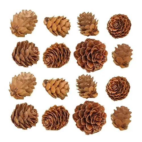Produktbild: KITANDOVE 100 Stück Künstliche Tannenzapfen Holz Deko Weihnachtsdekor Mini Zapfen Für Thanksgiving Und Hochzeitsschmuck