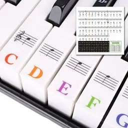 Produktbild: Klavier Keyboard Noten Aufkleber für 88/76/61/54/49/37 Tasten Farbige Klavieraufkleber für Keyboards Piano Lernen Anfänger