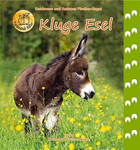 Produktbild: Kluge Esel: Bilderbuch