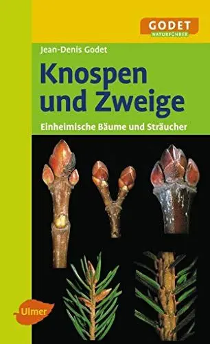 Produktbild: Knospen und Zweige: Einheimische Bäume und Sträucher (GODET Naturführer)