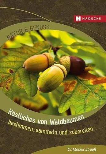 Produktbild: Köstliches von Waldbäumen: bestimmen, sammeln und zubereiten (Natur & Genuss)