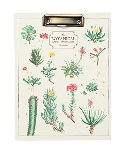 Produktbild: Kokonote Klemmbrettmappe A4, Klemmbrett Mappe mit Motiv Botanical Cacti - Schreibbrett Klemmbrett A4