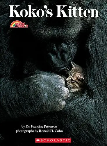 Produktbild: Koko's Kitten (Reading Rainbow Book)