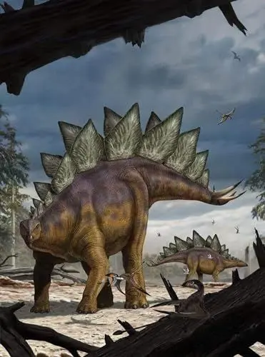 Produktbild: Komar Dino Vlies Fototapete - Stegosaurus - Größe: 184 x 248 cm (Breite x Höhe) - Dinosaurier, Dino, Jurrasic, Kinderzimmer, Tapete - XXL2-530 Bunt