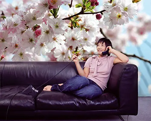 Produktbild: Komar Fototapete Spring
