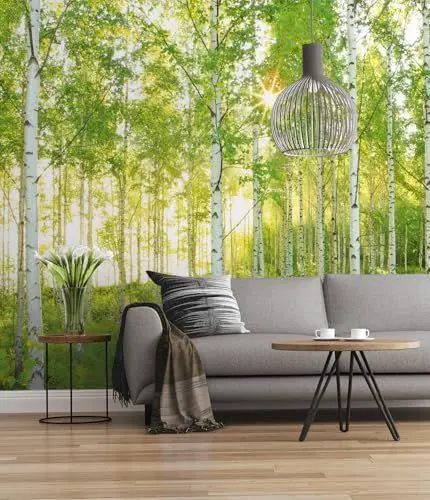 Produktbild: Komar Vlies Fototapete SUNDAY | 300 x 250 cm | Tapete, Wand Dekoration, Birkenwald, Wald, Natur, Landschaft, Schlafzimmer, Wohnzimmer | 519-DV3