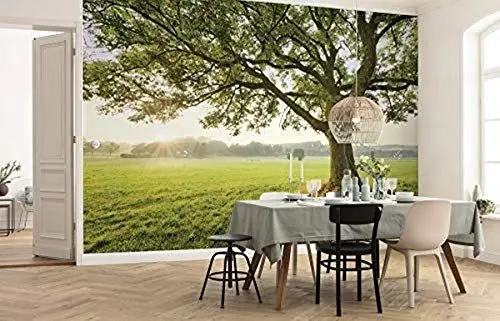 Produktbild: Komar Vlies Fototapete THE MAGIC TREE | Tapete, XXL, Dekoration, Natur, Landschaft, Schlafzimmer, Wohnzimmer, Büro, Flur | Größe 450 x 280 cm (Breite x Höhe) | SHX9-086