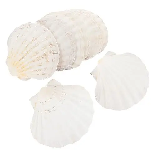 Produktbild: KOMBIUDA 12stücke Teiliges Natürliche Muschelschalen Für Bbq Grillen Von Garnelen Krabben Und Austern Dekorative Muschelplatten Für Partys Und -projekte Leicht Und Einfach Zu Reinigen
