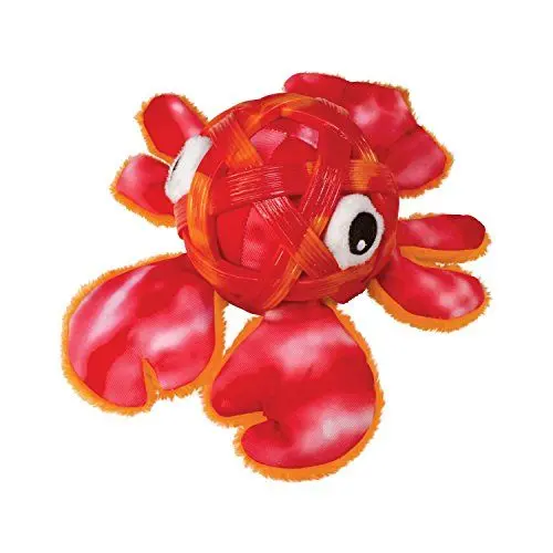 Produktbild: KONG rss11 Muscheln Hummer Hundespielzeug, Medium/Large