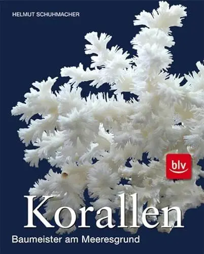 Produktbild: Korallen: Baumeister am Meeresgrund