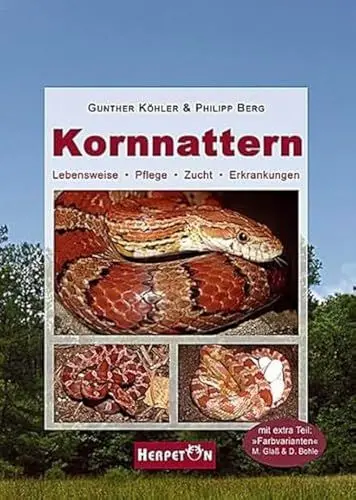 Produktbild: Kornnattern: Lebensweise, Pflege, Zucht, Erkrankungen
