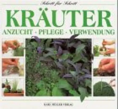 Produktbild: Kräuter: Anzucht, Pflege, Verwendung