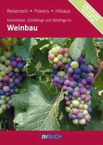 Produktbild: Krankheiten, Schädlinge und Nützlinge im Weinbau