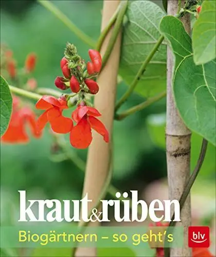Produktbild: kraut&rüben: Biogärtnern - so geht's (BLV Gestaltung & Planung Garten)