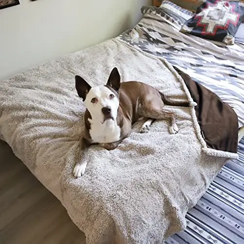 Produktbild: Kritter Planet Hundedecke Wasserdicht, Liebesdecke Sex Decke Wasserdicht, Waschbar Kuscheldecke Sofaschutz Tagesdecke für Sofa Autositz Couch Bett, XL 150x200cm Große Decke, Braun/Tuape