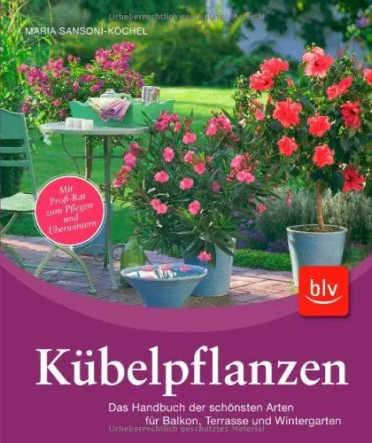 Produktbild: Kübelpflanzen: Das Handbuch der schönsten Arten für Balkon, Terrasse und Wintergarten. Mit Profi-Rat zum Pflegen und Überwintern