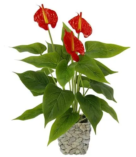 Produktbild: Künstliche Anthurienpflanze im Korb Anthurium Anthurie exotische Flamingoblume Flamingopflanze Flamingo Pflanze Blume rote Blüten Kunstpflanze Dekopflanze Kunstblume Deko Zimmerpflanze Lilie Herzblatt