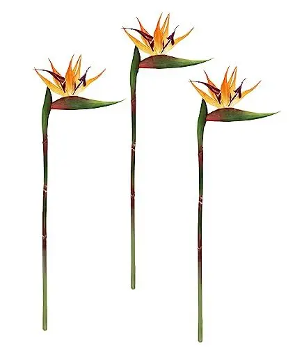 Produktbild: Künstliche Blume Strelitzie Paradiesvogelblume Exotischer Dekozweig Zweig Einzelblume Dekoblume Tropische Vase Arrangement Gesteck Stielblume Hochzeit Hawaii Party Themenparty Dekoration
