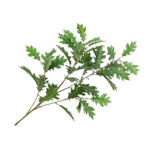 Produktbild: Künstliche Eichenblätter, Seidenstoff, Flexibler Eisenstiel, Dekorative Künstliche Eichenblätter, Vielseitig Einsetzbar für Blumenarrangements und Gartenprojekte (GREEN)
