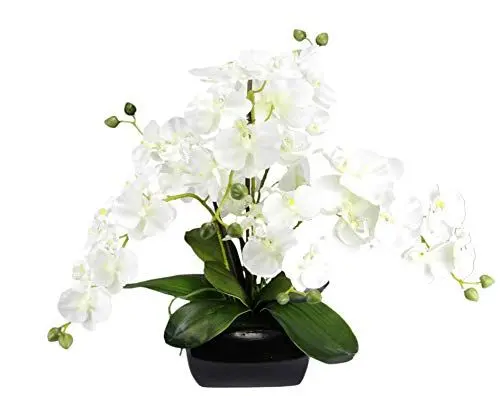 Produktbild: Künstliche Orchidee 40x36x36cm mit Blätter und Luftwurzeln in Schale aus Keramik Künstliche Blume Kunstorchidee Phalaenopsis mit Übertopf Kunstpflanze Hochzeit Deko Seidenblume Real Touch Blüte weiß