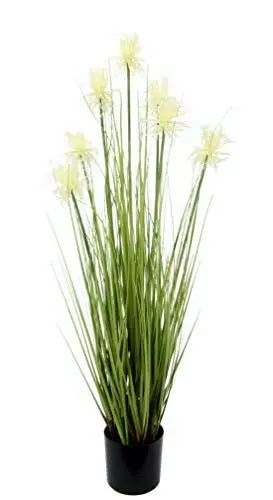 Produktbild: Künstliche Protea im Grasbusch im Topf Nadelkissen Pflanze Busch Ufergras Federgras Seidenblumen Dekogras Gras Kunstgras künstliche Pflanzen Kunstpflanze Grünpflanze Solitärgras Ziergras Dekopflanze