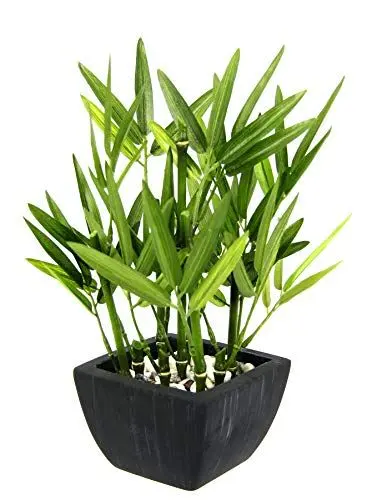 Produktbild: Künstlicher Bambus Pflanze in Schale Bambusgras Lemongras Kunstpflanze Grünpflanze Kunstbaum Baum Zimmerpflanze Bambuspflanze Bambusbaum Strauch Lemongras Asiatische Gräser Sträucher 23x16x16cm