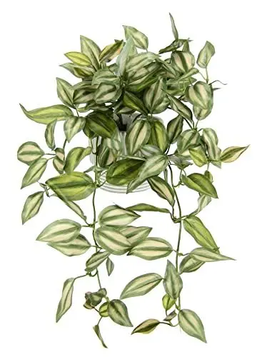 Produktbild: Künstlicher Tradescantiahänger mit Übertopf Kunstpflanze hängend Deko Hängepflanze Rankende Girlande Pflanzenampel Ampel Grünpflanze Zimmerpflanze Kletterpflanze Efeuranke Efeu, 42x26x22cm