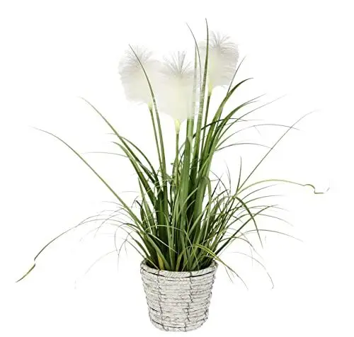 Produktbild: Künstliches Pampas Gras im Topf Feder Ufergras Seidenblume Grasbusch Dekogras Gras Gräser Kunstpflanze Pflanze Solitärgras Ziergras Dekopflanze Pampasgras Blume Kunstgras Grünpflanze Zimmerpflanze