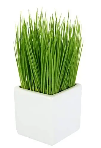 Produktbild: Künstliches Topf aus Keramik Kunst-Gras Grünpflanze Kunstpflanze Kunstgras Dekogras Grasbusch Schnittlauch Gartenkräuter Kräuter Ziergras, Kunststoff, grün, 9x9x22 cm