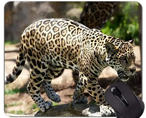 Produktbild: YENDOSTEEN ursprüngliche Leopard-Reihen-Mausunterlage, Tierkatzen-Familien-Leopard-Mausunterlagen