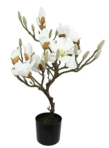 Produktbild: Kunstbaum Magnolie im Topf Magnolienbaum künstlich Kunstpflanze Kunstblume Blume Zimmerpflanze Topfblumen Kleiner Deko Magnolienzweig Blüten Frühjahrsblumen Frühjahrsdeko Frühjahrsblüher Pflanzelich