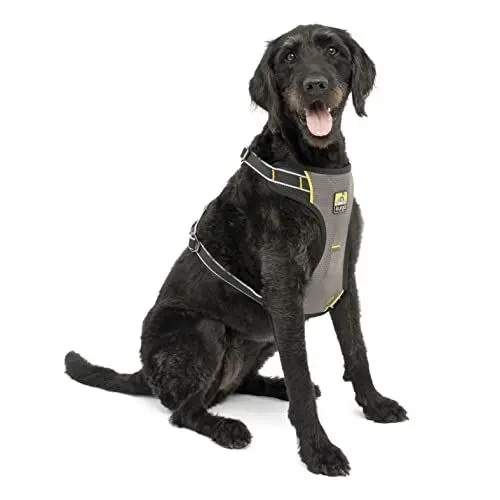 Produktbild: Kurgo Impact Hunde-Autogeschirr, Crashtest-geprüft für mehr Sicherheit, Für Hunde von 23-34 kg geeignet, Größe L, Schwarz