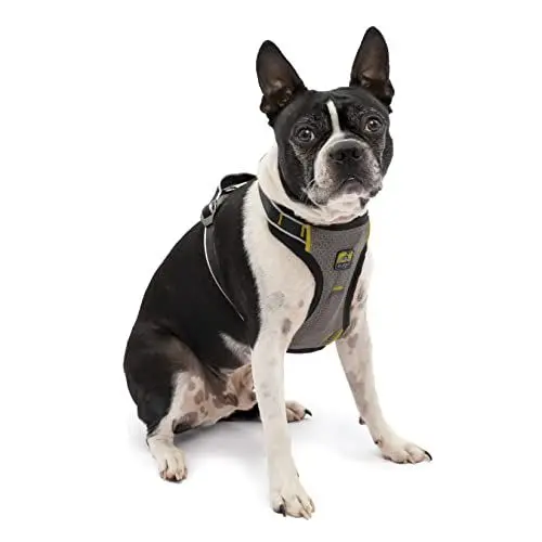 Produktbild: Kurgo Impact Hunde-Autogeschirr, Crashtest-geprüft für mehr Sicherheit, Für Hunde von 5-11 kg geeignet, Größe S, Schwarz
