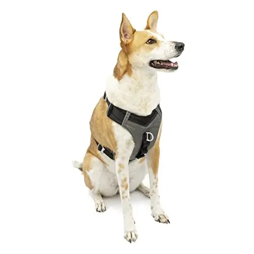 Produktbild: Kurgo Journey Air Hundegeschirr, Mit gepolstertem Brustteil und Rückgriff, Für Hunde von 34-47 kg, Größe XL, Schwarz/Grau