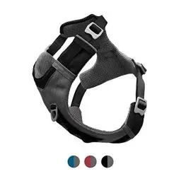 Produktbild: Kurgo Journey Air Hundegeschirr, Mit gepolstertem Brustteil und Rückgriff, Für Hunde von 5-11 kg, Größe S, Schwarz/Grau