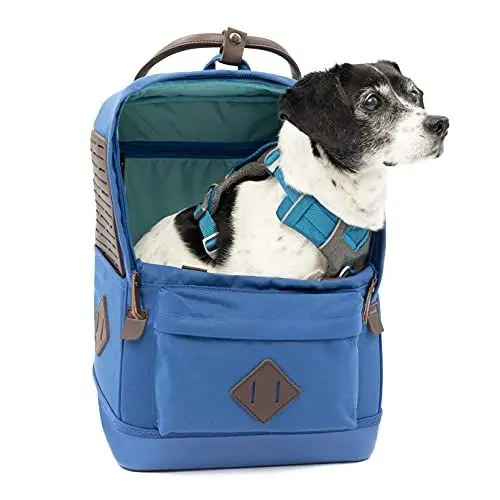 Produktbild: Nomad Hunderucksack, Blau