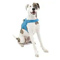 Produktbild: Kurgo RSG Townie Hundegeschirr, Einfaches Anlegen und Abnehmen, Einstellbare Brust- und Bauchgurte, Größe M, Blau