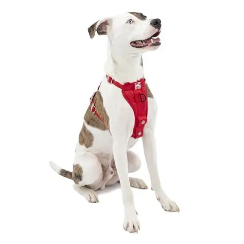 Produktbild: Kurgo Tru-Fit Hundegeschirr, Crash-Test-erprobtes Auto-Sicherheitsgurt, Für Hunde von 2 bis 5 kg, Größe M, Rot