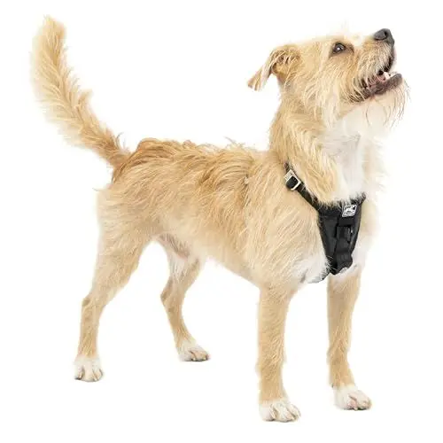 Produktbild: Kurgo Tru-Fit Hundegeschirr, Crash-Test-erprobtes Auto-Sicherheitsgurt, Für Hunde von 2 bis 5 kg, Größe S, Schwarz